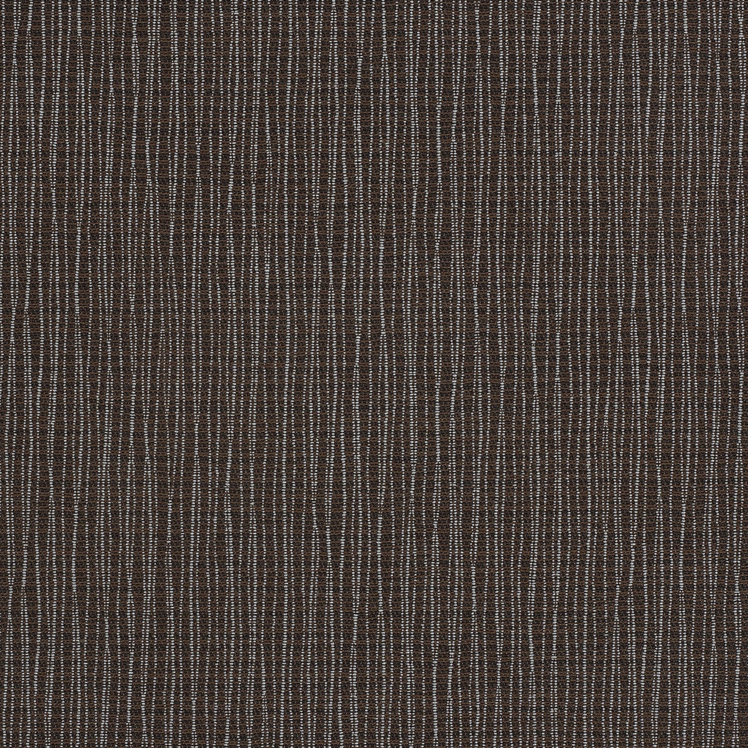 Bark